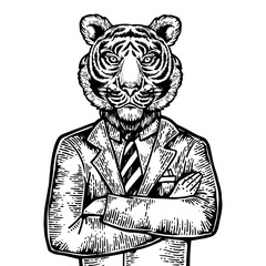 Tiger head businessman engraving PNG illustration. Scratch board style imitation. Black and white hand drawn image.
