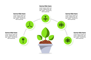 Infographic template. Semicircle with a plant and 5 steps