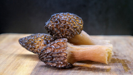Morel Mushroom. Morchella esculenta. Valuable, edible fungi - obrazy, fototapety, plakaty