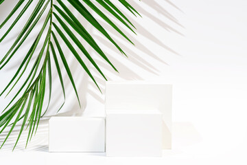 Minimalist product display podiums with tropical palm leaf