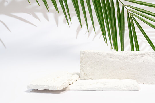 Textured podiums with palm leaf shadow for product display