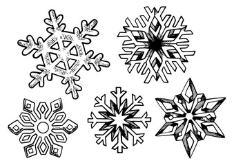 Snowflake set sketch sketch engraving PNG illustration. Scratch board style imitation. Black and white hand drawn image.