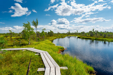 Kemeri bog National Park, Latvia	