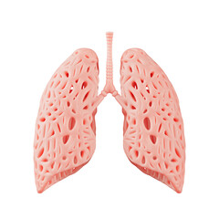 Abstract Lungs Organ Model. 3d Rendering