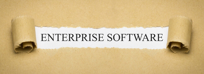Enterprise Software