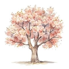 Fototapeta premium tree flowers