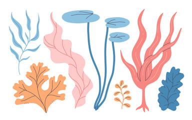 Seaweeds. Aquarium plants, underwater planting. Vector seaweed silhouette isolated set. Illustration of aquatic plant, nature wildlife