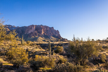 A saguaro cacti in the evening sun with Superstition Mountain in the distance.