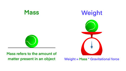 Difference between mass and weight, Mass is the total amount of matter in an object, Weight is the force of gravity on an object, Weight is a measurement of the gravitational force on an object - obrazy, fototapety, plakaty
