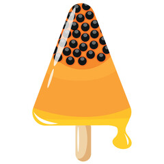 fruit ice cream triangle shape with papaya design on a stick for packaging, textile or banner