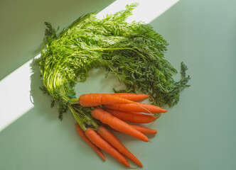Fresh farmer's carrots  on a mint background, sun rays.Ecologically friendly products. Roots