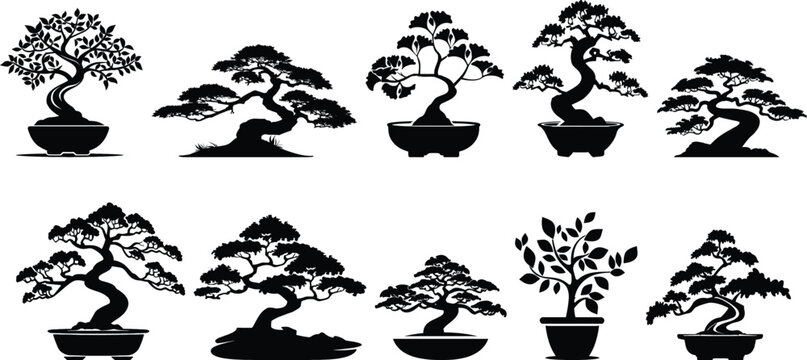 Set of bonsai trees, vector illustration.