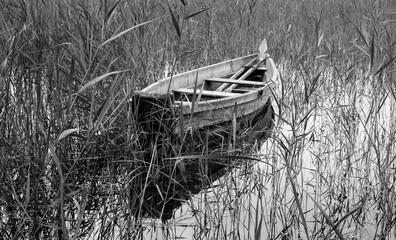 Old wooden boat in water reed