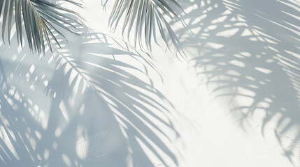 Abstract palm leaf shadows casting delicate patterns on a blank white canvas, signaling the arrival of summer.