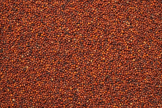close up red finger millet or ragi raagi nachni texture background