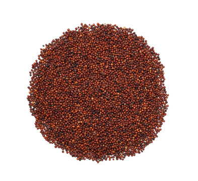 top view flat lay overhead pile of red finger millet or ragi raagi nachni isolated on white background