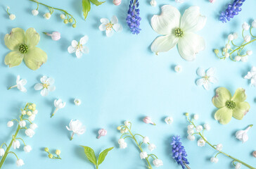 Fototapeta na wymiar Flat lay frame from spring flowers on a light blue background. View from above, copy space. Beautiful floral frame. Springtime. aesthetics photo