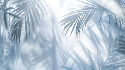 Tranquil scene of blurred palm leaf shadows against a pristine white background, echoing spring.