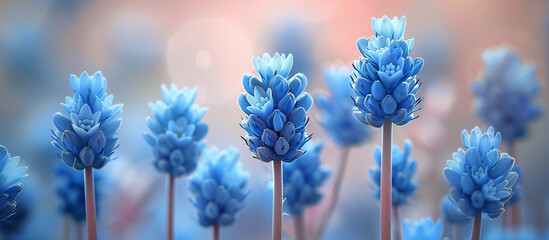 Blue flower blossom meadow, garden. Summer flower banner, background, wallpaper. Springtime nature theme.	