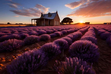 Meubelstickers Lavender field summer sunset landscape near Valensole.Provence,France © Nadezda Ledyaeva
