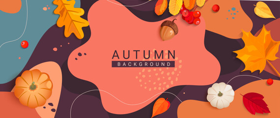 Autumn horizontal banner with colorful fall leaves,rowanberries,acorns,pumpkins and place for text on abstract background.Season flyers,presentations,reports promo,web,leaflet,poster,invitation.Vector