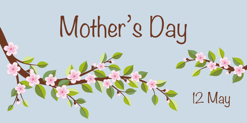 Mother’s Day 12 May - Schriftzug in englischer Sprache - Muttertag 12. Mai. Banner mit Kirschblütenzweigen
