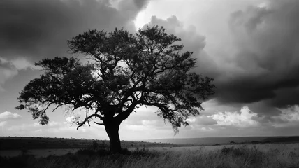 Tuinposter Black and white photography of the single tree, dark with clouds. Landscapes photography. © Furkan