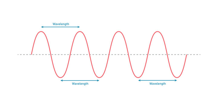 The basic properties of waves in physics. Parts of a transverse wave.