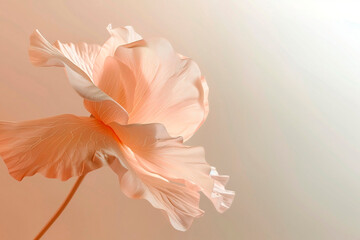 Macro romance flower. Petals structure, floral background with veins and cells, light pastel colors. 