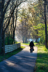 Man in silhouette on the bike trail