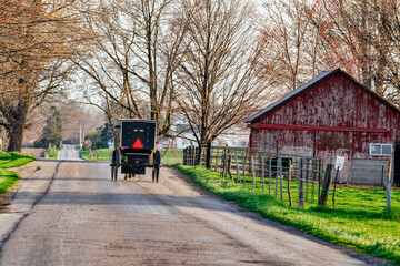 Amish Buggy on rural road in early spring