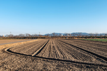 冬の湖　春に向けて農地の整備　滋賀県草津市平湖