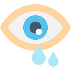Eye Icon