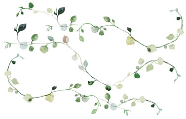Watercolor tiny twigs with green leaves isolated illustration, botanical wedding element
