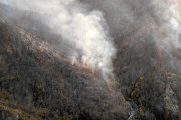 Wildfire caused by hunting  in subtropical forest valley.