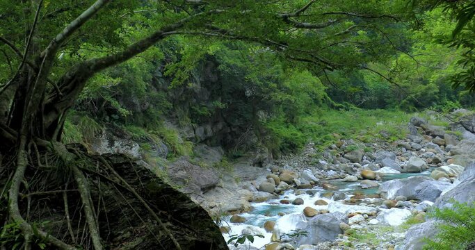 Taiwan, Hualien, Taroko, Scenic Area, Sanda Creek, Boulder, Big Tree
