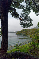 Beagle Channel Trail, Ushuaia , Patagonia Argentina