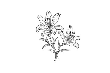 Vintage Floral Vector Sketch: Hand-Drawn Line Art Flower.