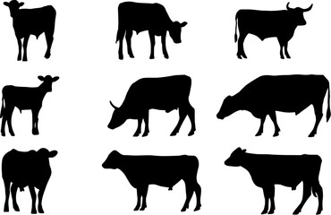 Collection of cow icon. cow silhouette
