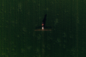 Agricultural tractor with crop sprayer applying fungicide treatment on wheat crops in spring, aerial view from drone pov - 791785759