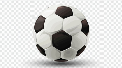 Fototapeta na wymiar a soccer ball on a transparent background