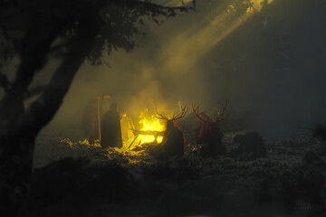 Scandinavian forest party bathed in firelight, laughter, and magic. fire in the woods.