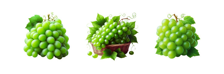  Set of Fresh green grapes, illustration, isolated over on transparent white background