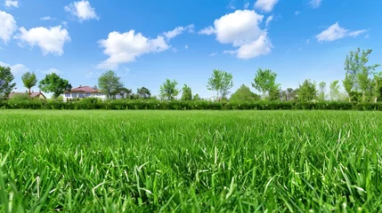 Fototapeten Generative AI : A green manicured lawn under a blue sky © The Little Hut