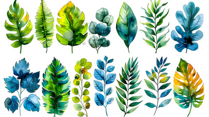 Collection de feuilles, illustration à l'aquarelle
