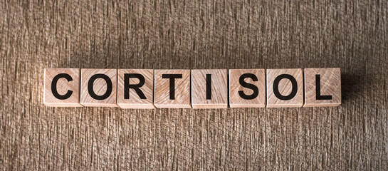 Cortisol Spelled With Wooden Blocks