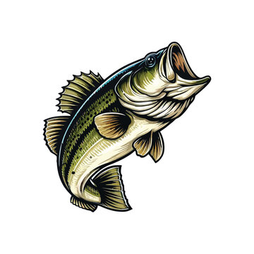 recommend clip art: Bass Fish Vector Illustration