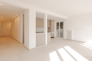 Newly renovated apartment, open kitchen giving directly onto the dining room. A beam of light enters the room.