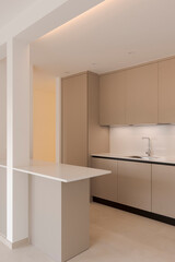 Interior of a new empty modern kitchen in brown beige. Empty flat.