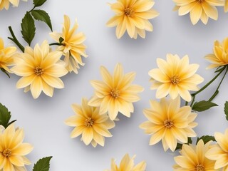 yellow and white flowers - 791812179